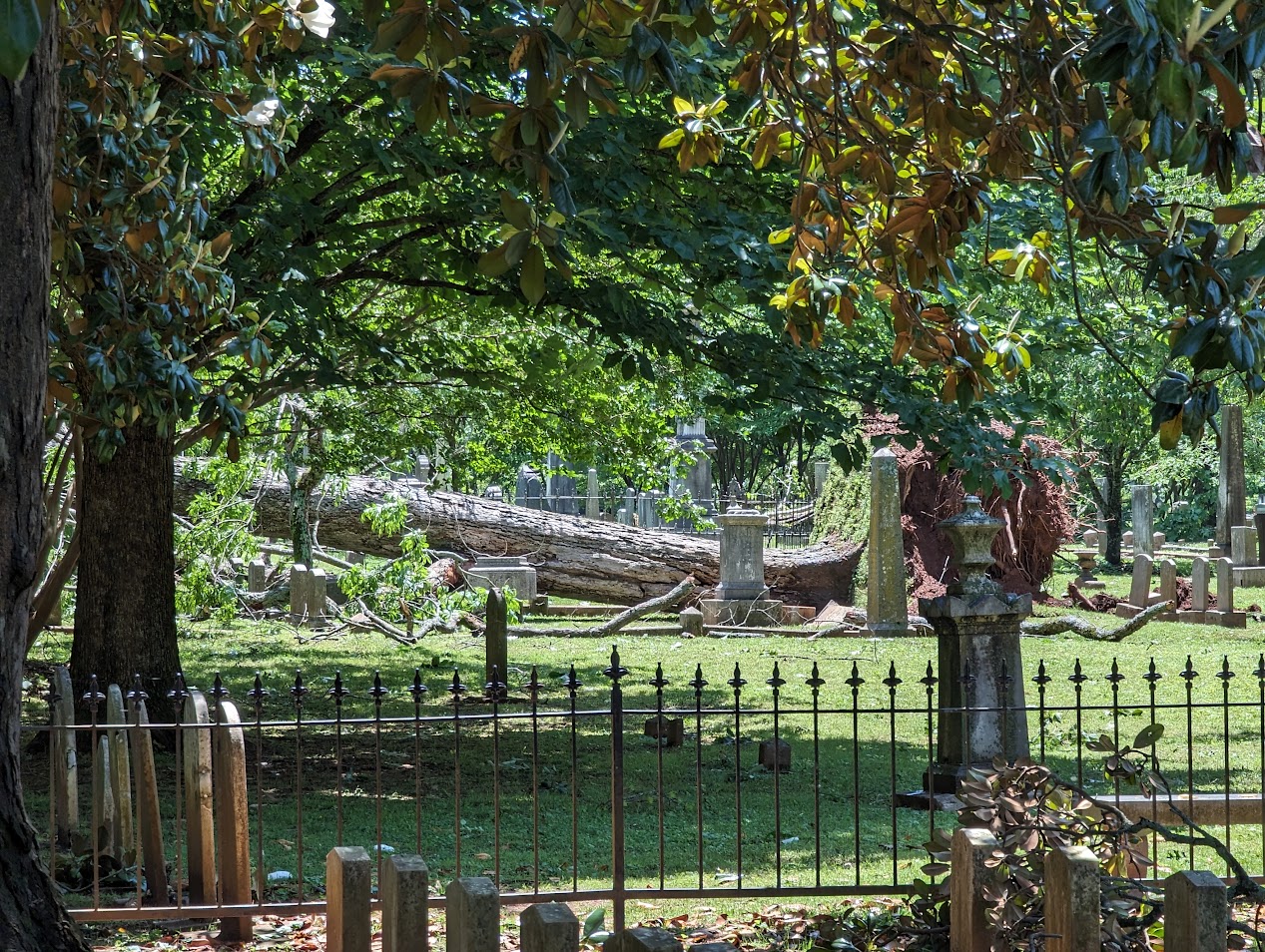 Huntsville Pilgrimage Associations Seeks to Repair Damage to Maple Hill Monuments - Vimarsana News
