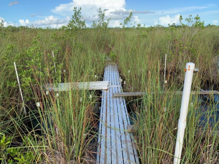 DeSantis Budget Includes Plan To Address Climate Impacts - Vimarsana News