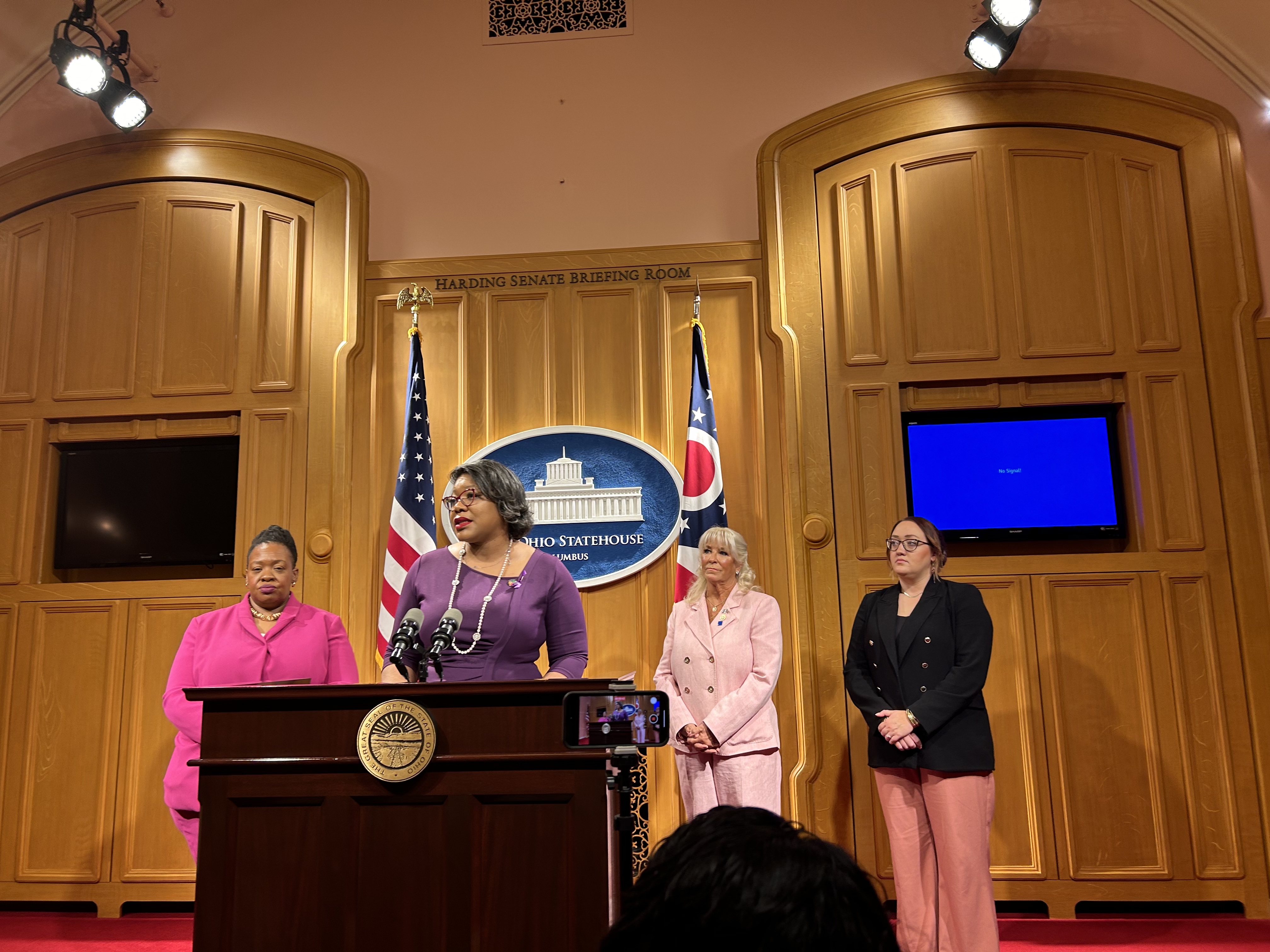 Anti-domestic violence bill introduced in Ohio legislature, for the third time - Vimarsana News