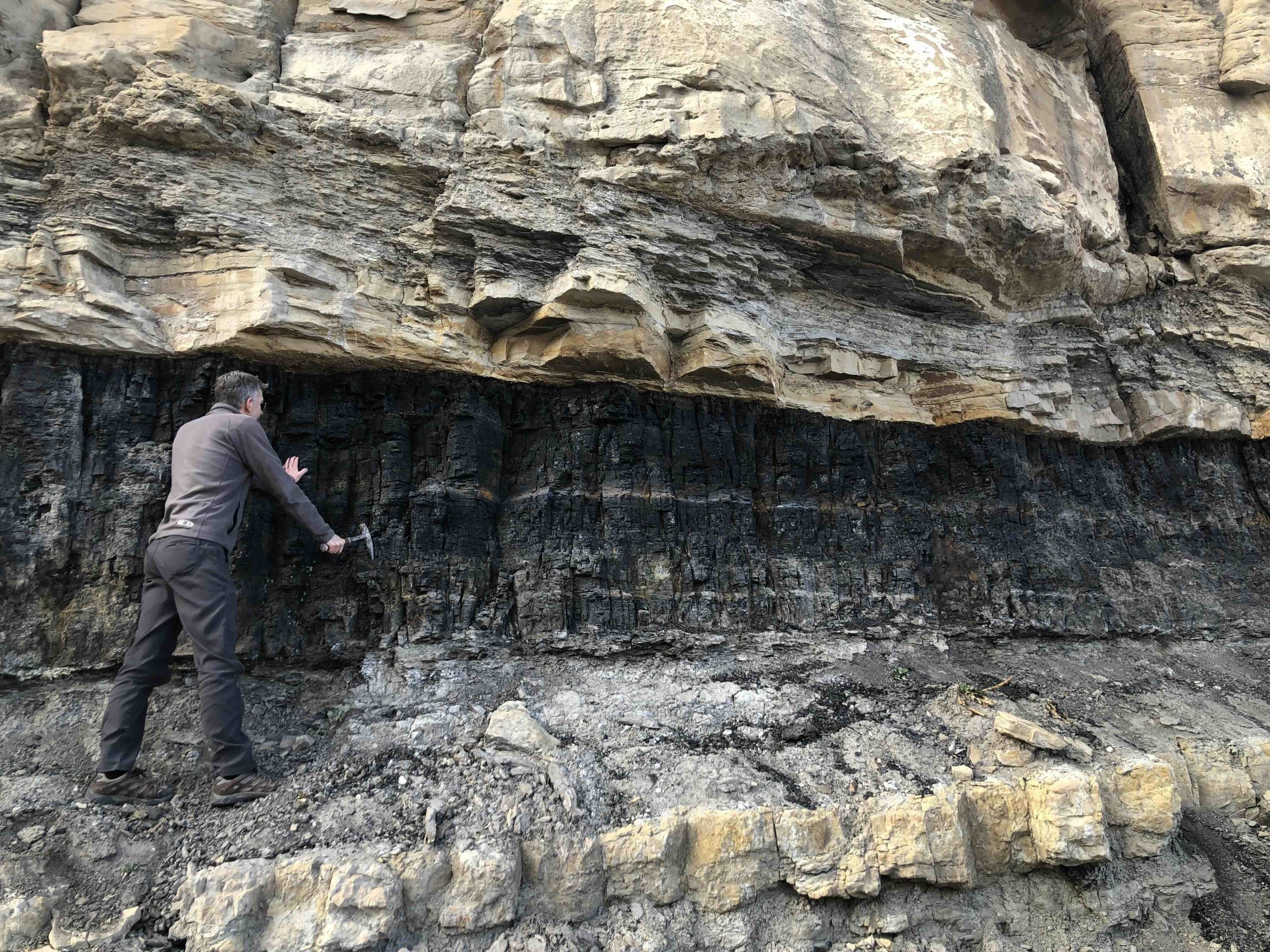 Utah's coal mines have rare earth elements. Getting to them is another problem - Vimarsana News