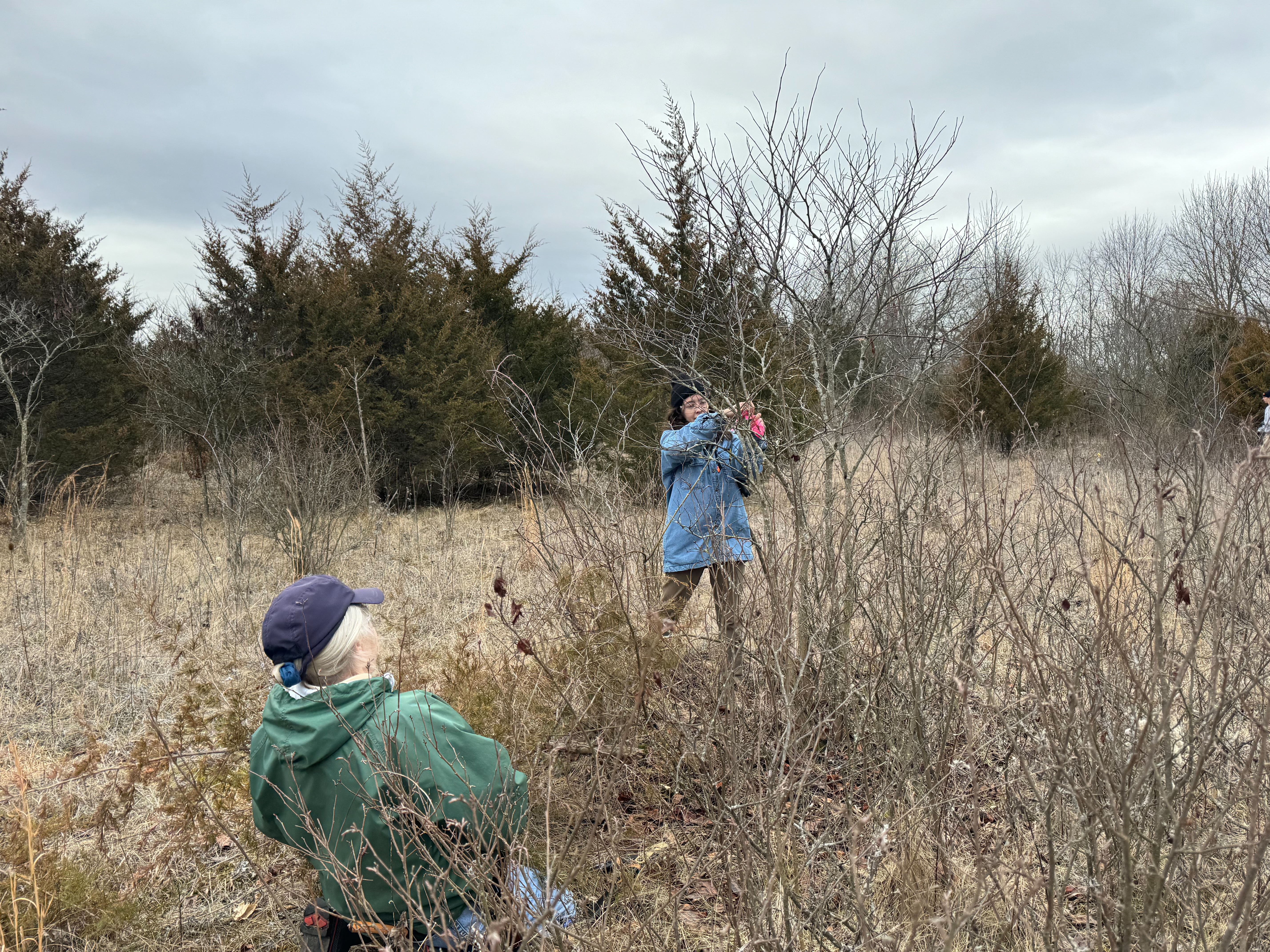 Meet the volunteer organization preserving Ohio's natural areas - Vimarsana News
