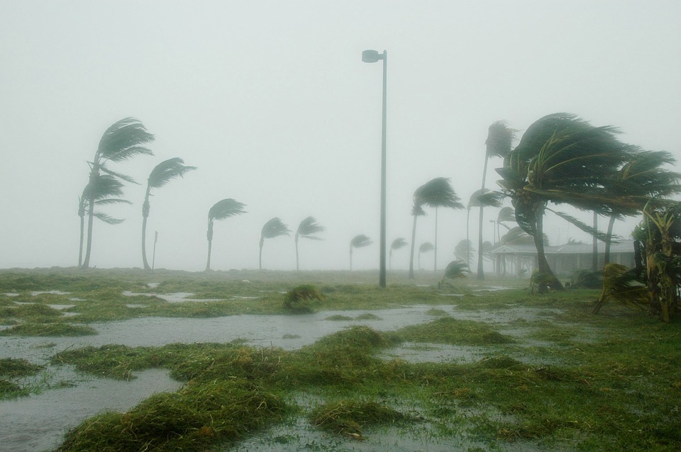 Are You Ready for a Hurricane? - Vimarsana News