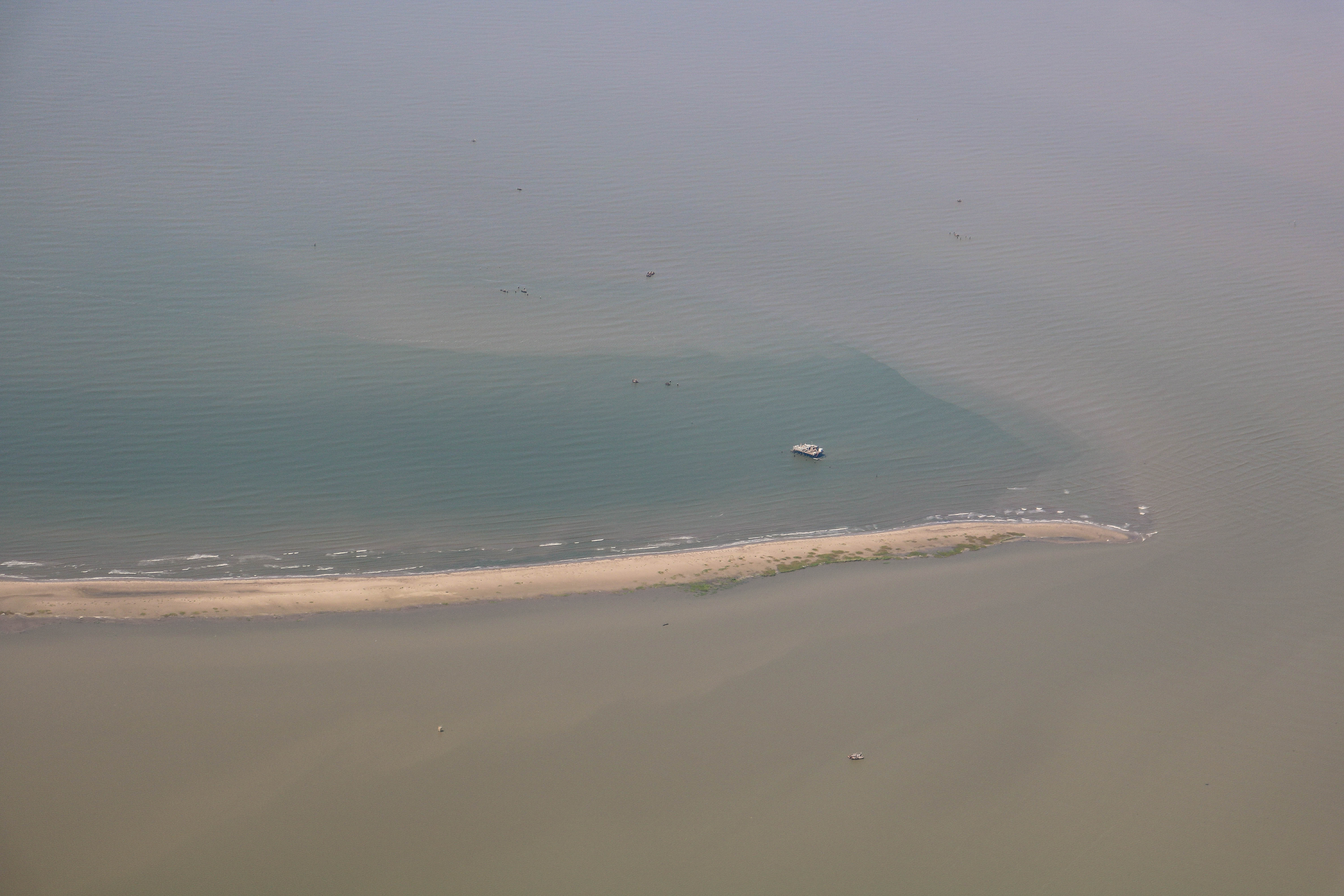 'Dead zone' in the Gulf of Mexico predicted to be bigger than average this summer - Vimarsana News