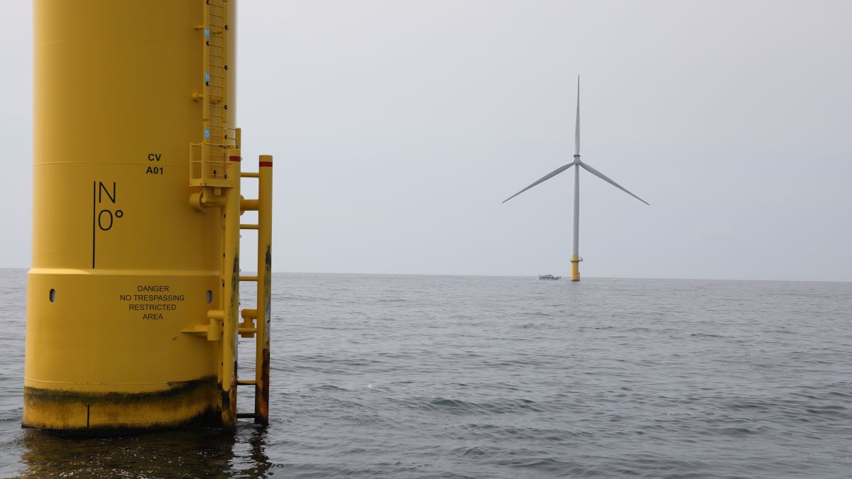Federal judge rejects request to halt Dominion's Virginia Beach offshore wind farm - Vimarsana News