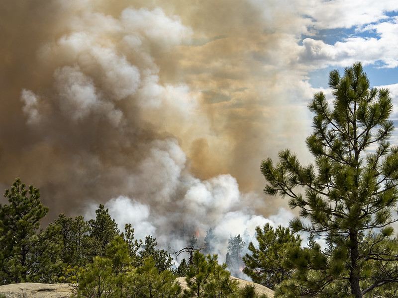 Study: Wildfire smoke leaves behind toxic chemicals in your home, but simple steps can help - Vimarsana News