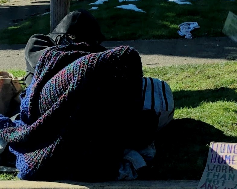 Lane County reports growth of homeless population, more use of shelter - Vimarsana News