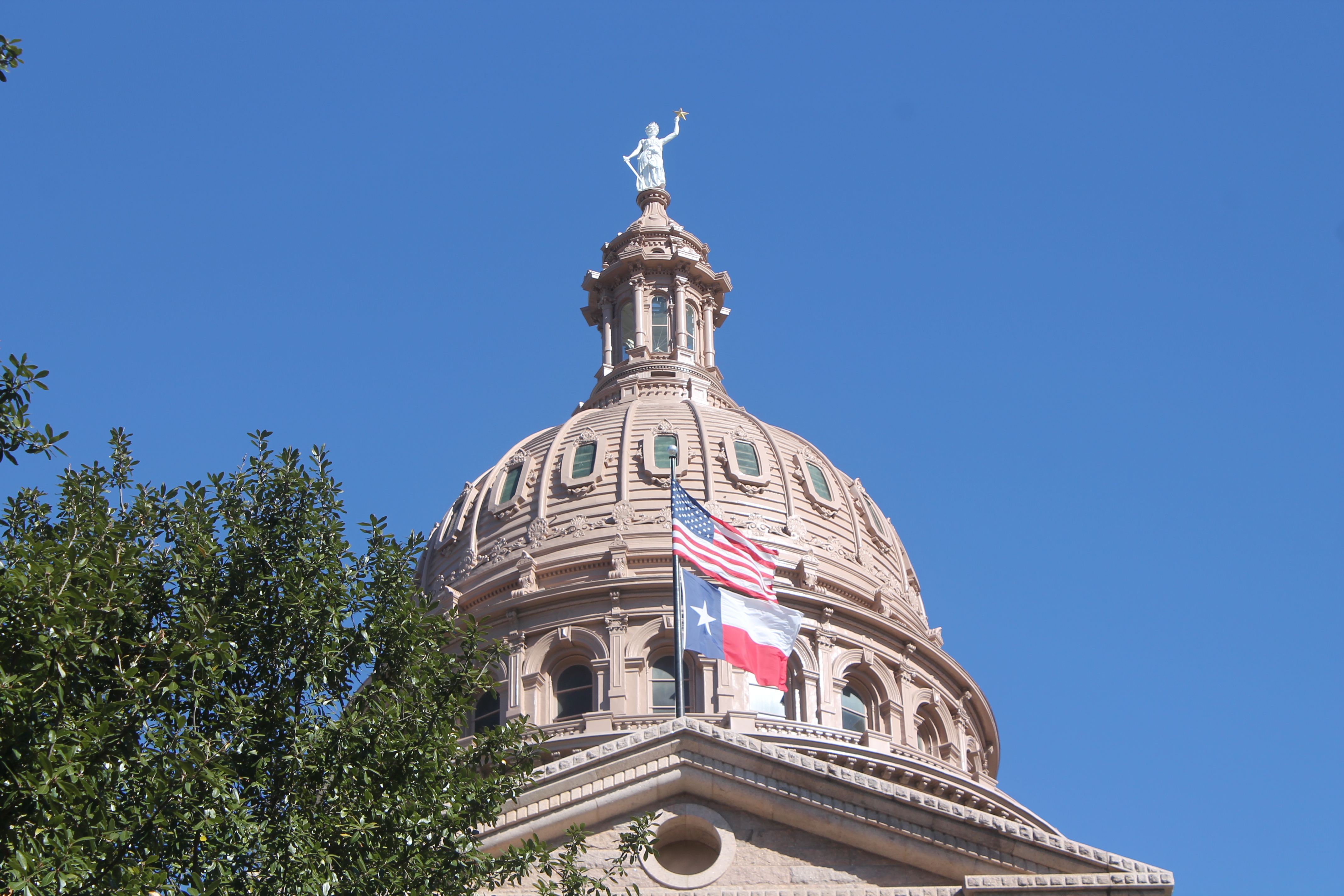What Does Texas' Political Landscape Look Like With Biden In Office? A Political Analyst Responds - Vimarsana News