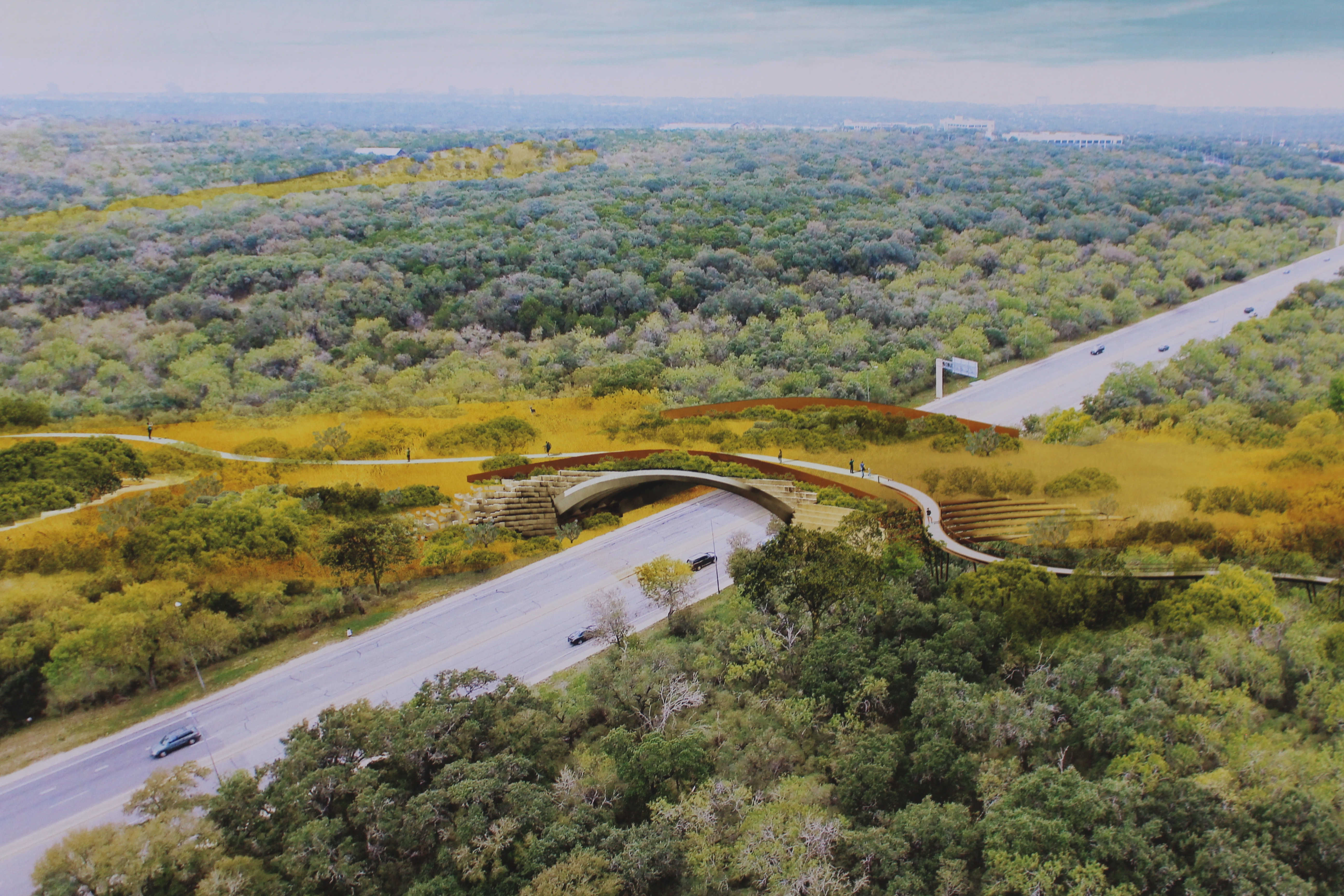 Largest Wildlife Bridge In U.S. Opens Friday At San Antonio's Hardberger Park - Vimarsana News