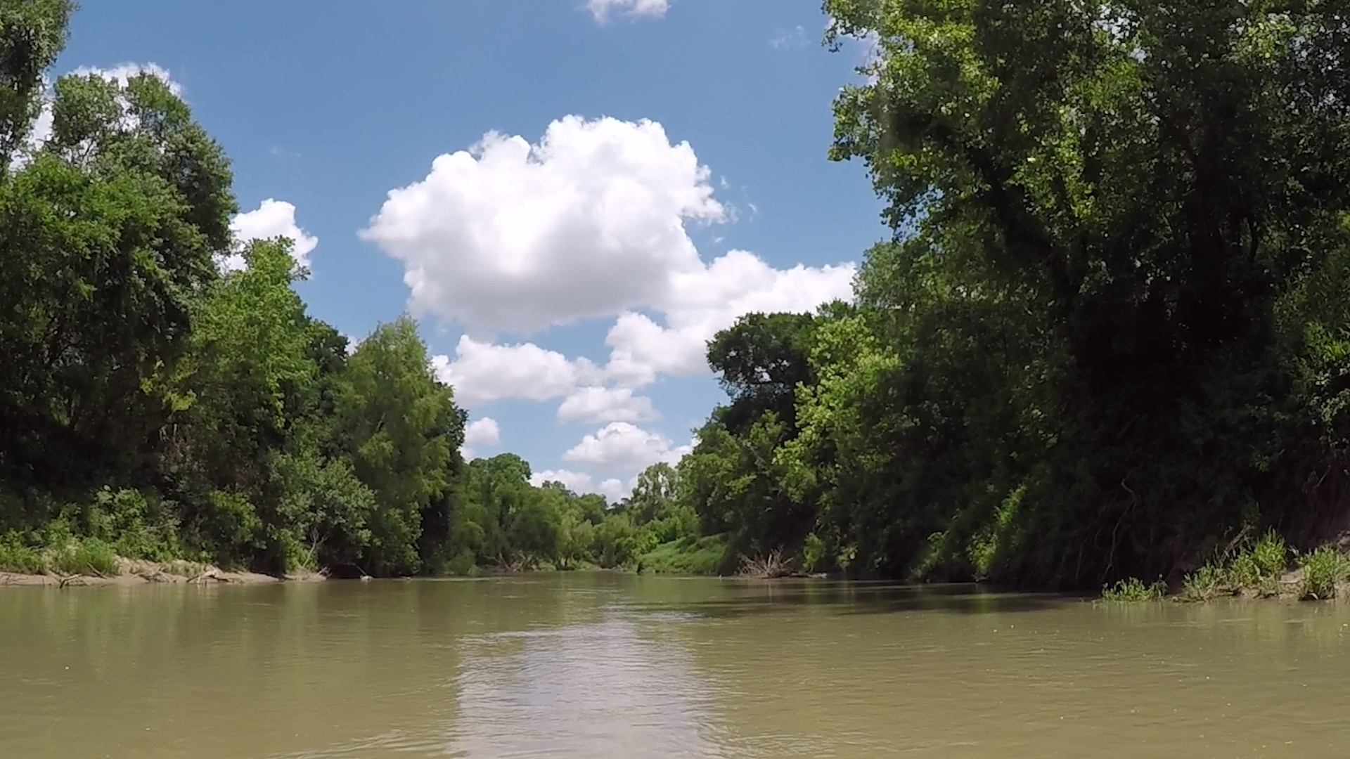 Think Earth: San Antonio River Health - Vimarsana News