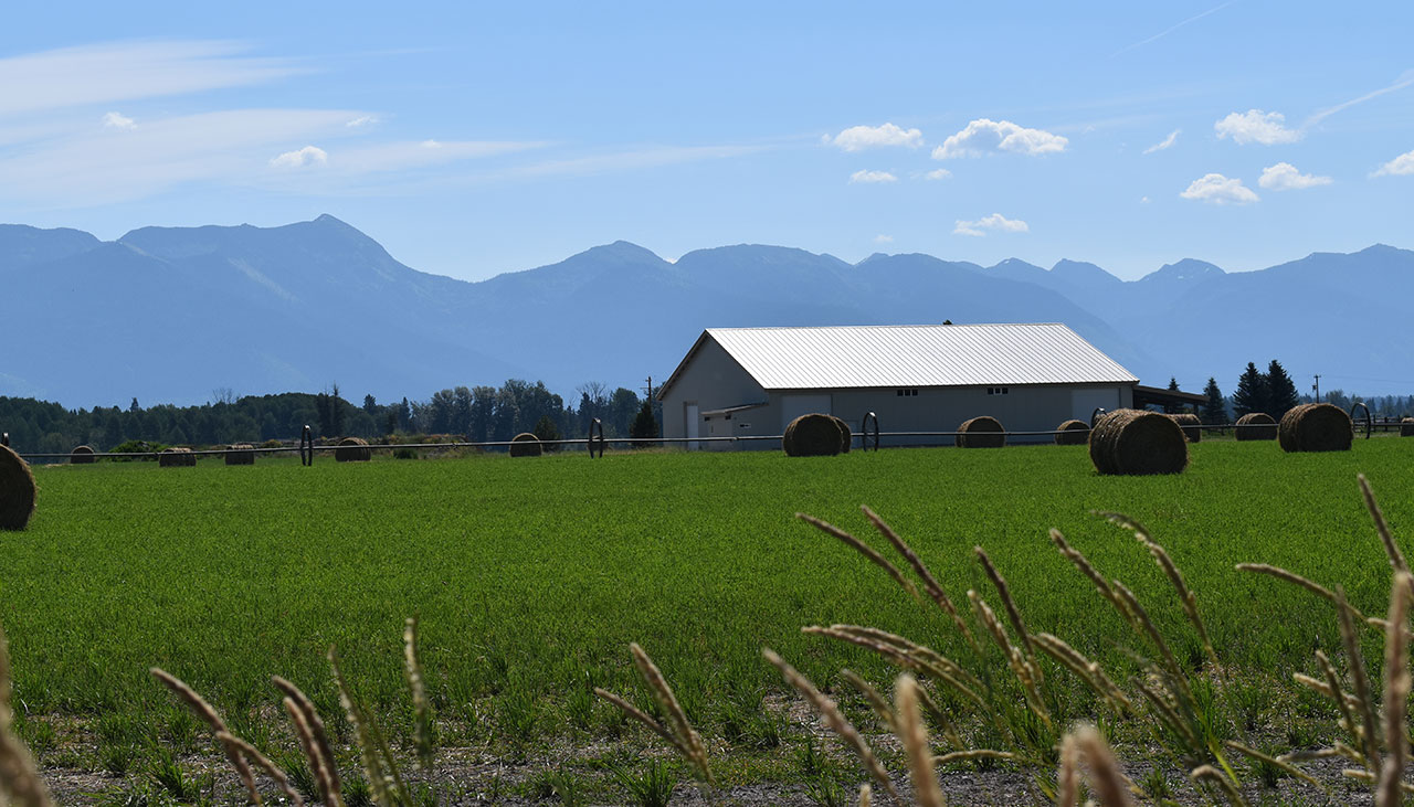 Flathead Judge Rules Montana DEQ's Review Of Bottling Plant Inadequate - Vimarsana News