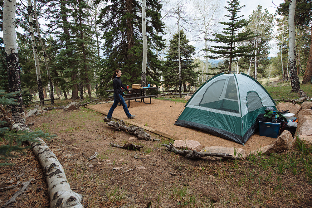 Colorado Edition: In Through The Outdoors - Vimarsana News