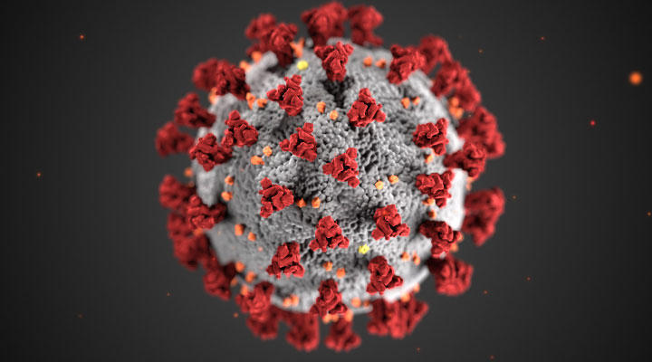 COVID-19, RSV, and flu levels are 'very high' in most Mountain West states, CDC says - Vimarsana News