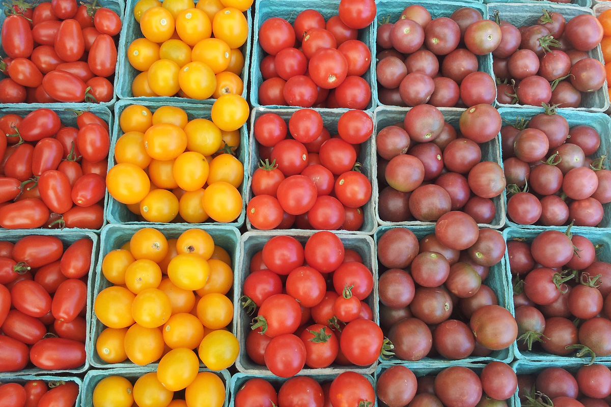 A Mobile Food Pantry Is Coming To The St. Louis Region To Help Families Who Need Food - Vimarsana News