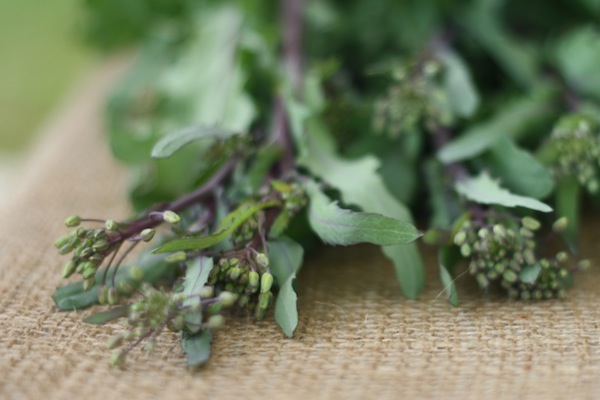 Kale Rabe: A local spring delicacy - Vimarsana News