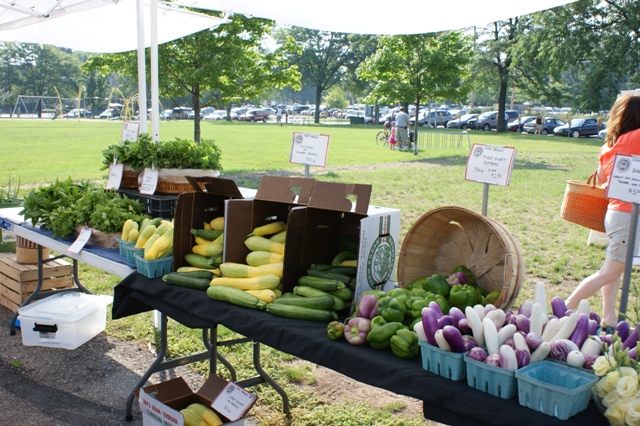 Double Up Food Bucks Program celebrates access to healthy food in Michigan since 2009 - Vimarsana News
