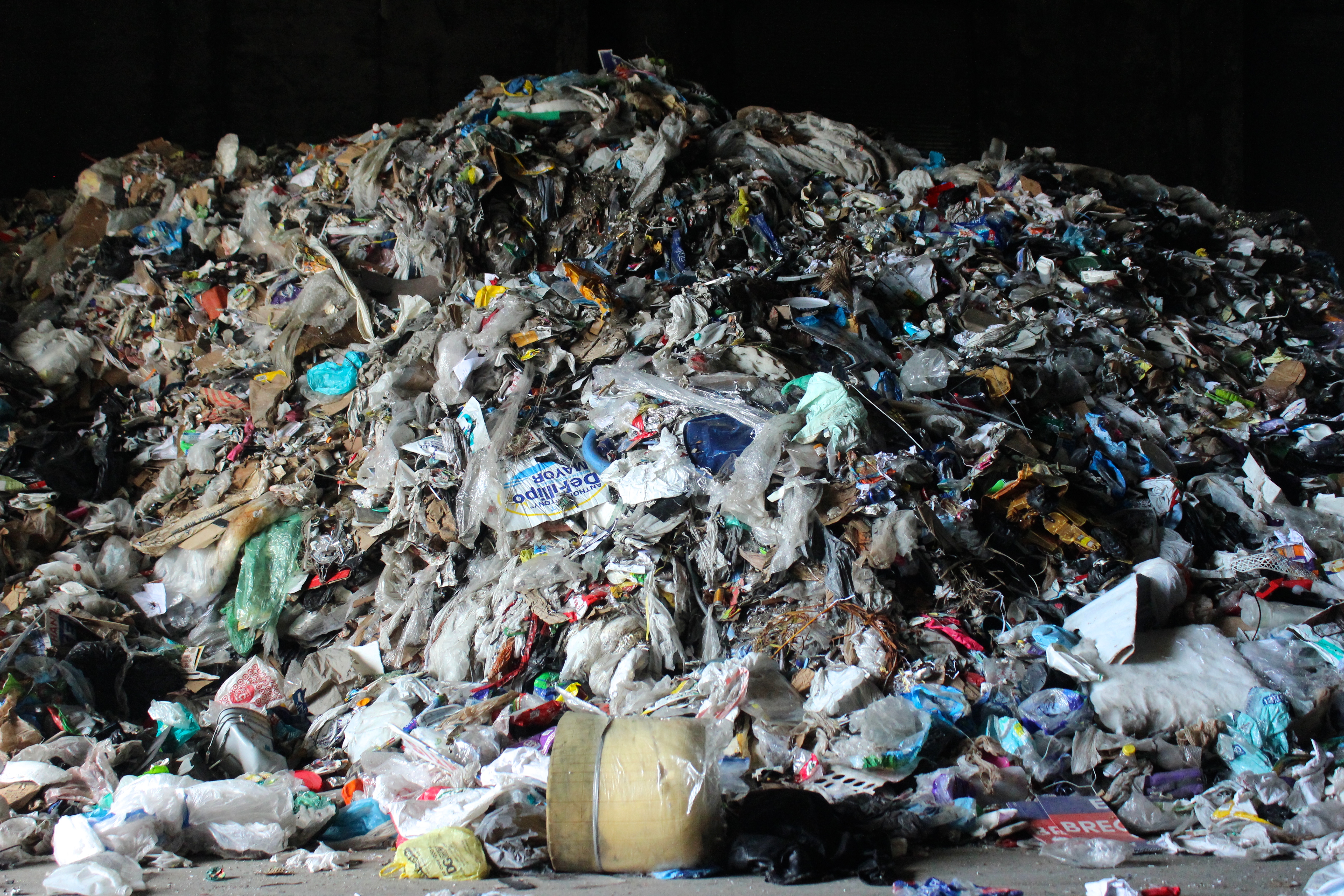 The Marlins Park Saga, Illegal Fishing, And Are Plastic Bans Good For The Environment? - Vimarsana News